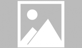 小白兔吃萝卜视频,小白兔的快乐萝卜时光